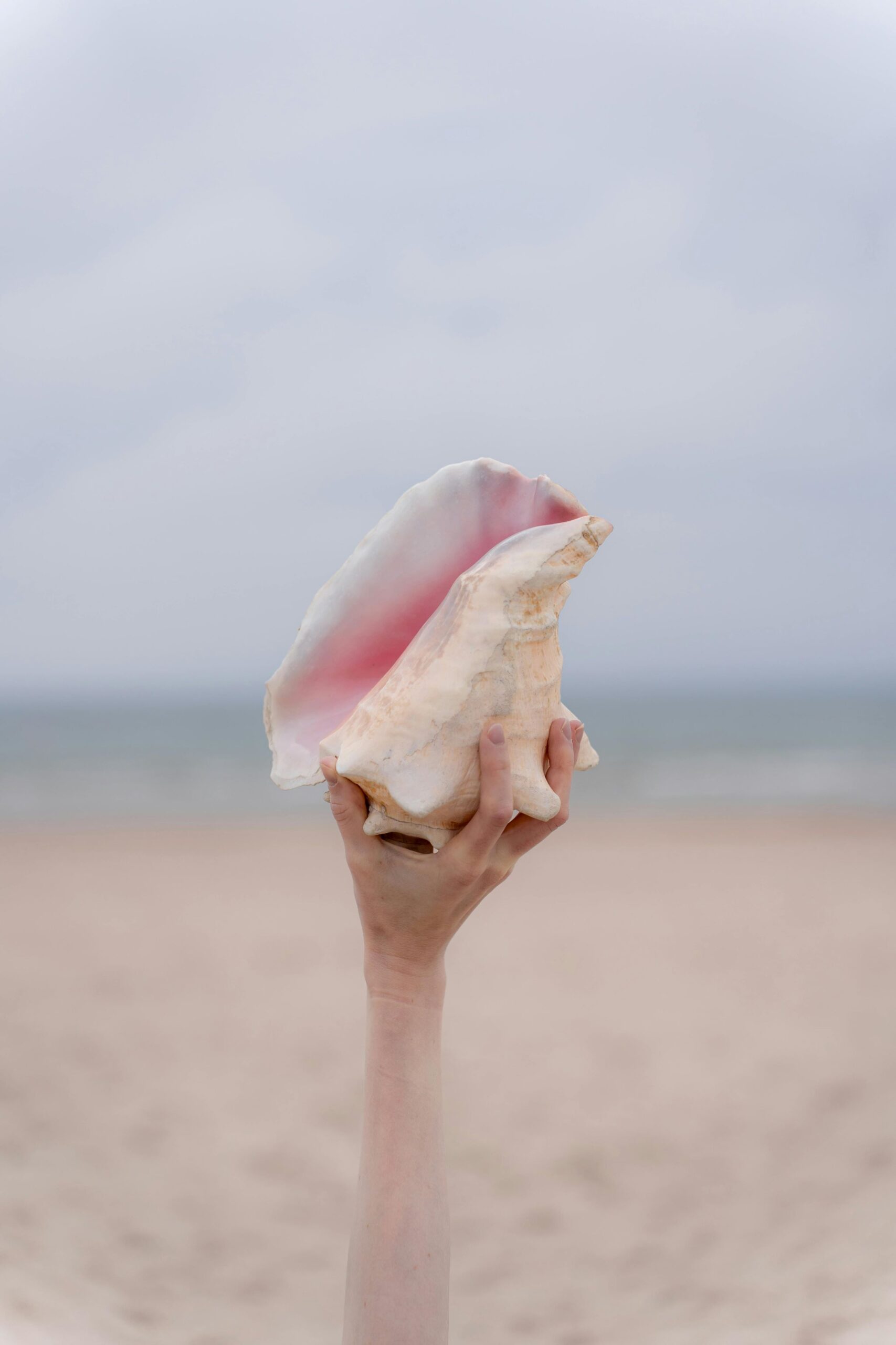 a hand raising a conch shell